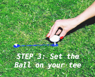 Stacks Image p2251_n319