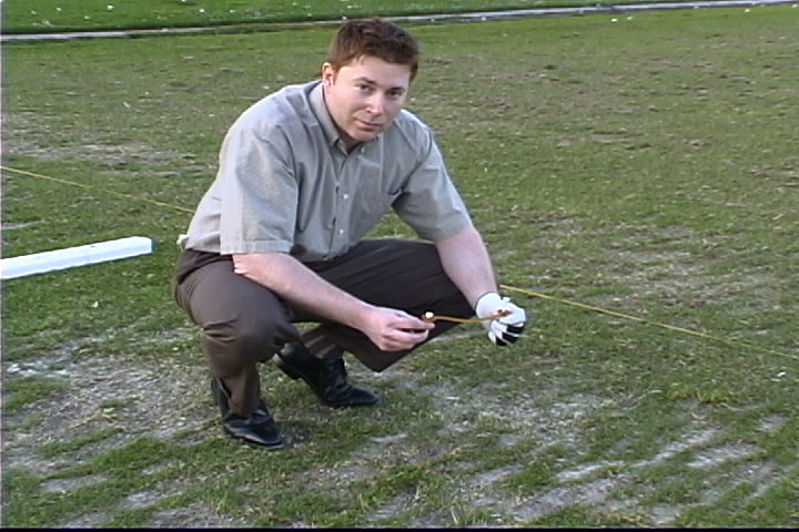 Stacks Image p262_n6